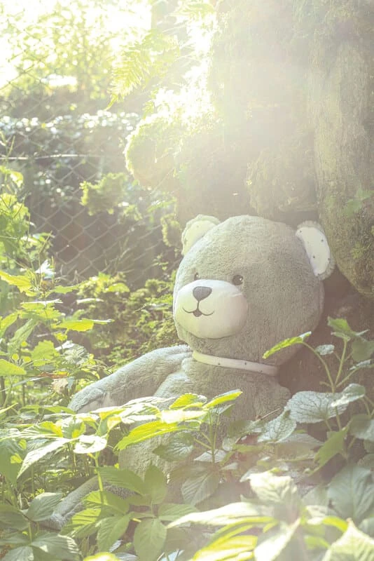 Grande Peluche N'Ours 70 Cm 6 Grande Peluche N'Ours 70 Cm – Image 6