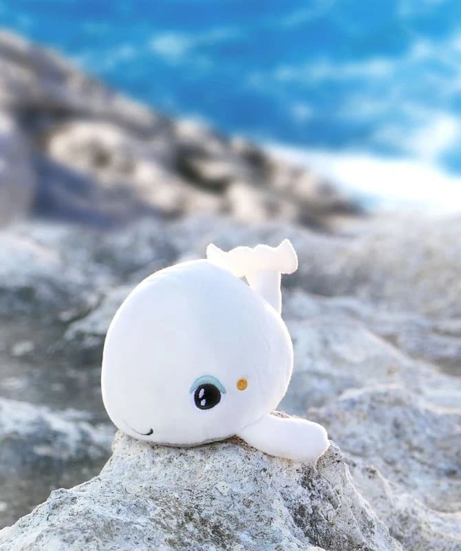 PABOBO Peluche Lumineuse Shakies Baleine 6 PABOBO Peluche Lumineuse Shakies Baleine – Image 6