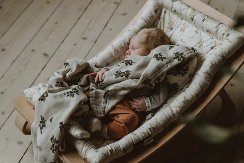 Transat En Bois De Hêtre LEVO Avec Coussin Au Choix 8 Transat En Bois De Hêtre LEVO Avec Coussin Au Choix – Image 8